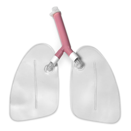 Reemplazo de pulmones Only, Life/form 