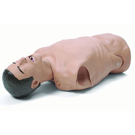 Entrenador de maniquí adulto, AT Kelly Torso