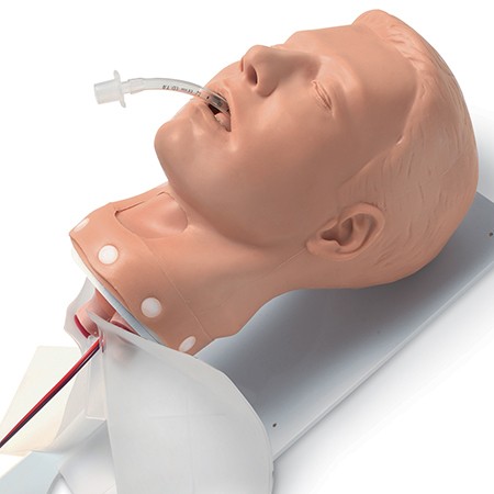 Cabeza de adulto para manejo de vía aérea deluxe