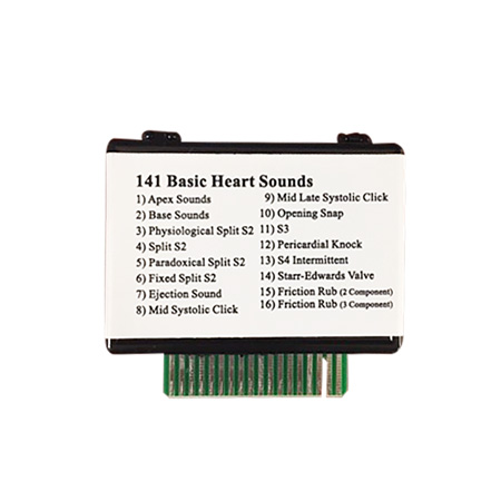 Sonidos de módulos de entrenamiento - Tutor MS