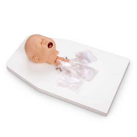 Entrenador de Vía Áerea Mgmt Infantil, montado en el soporte, con estuche