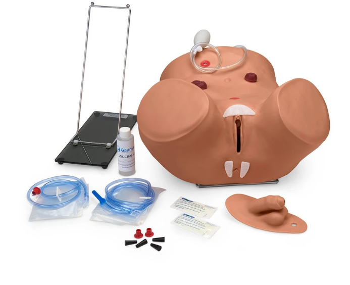 Simulador de cateterismo masculino y femenino Gaumard® Advanced Patient Care - Mediano