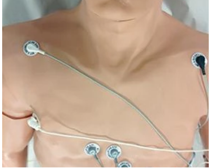 Simulador de arritmia de 12 derivaciones Heartstart con revestimiento de maniquí grande
