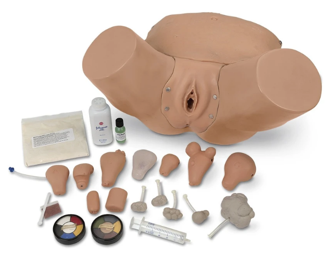 Simulador avanzado de examen pélvico y ginecológico Life / form®
