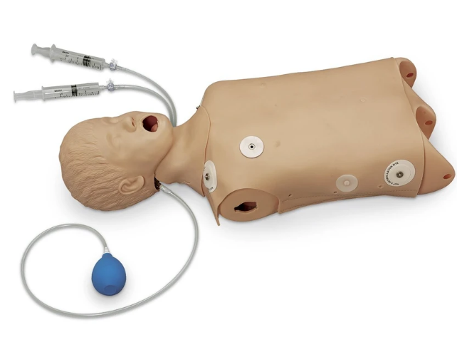 Torso para manejo avanzado de vías respiratorias / RCP infantil Life / form® con funciones de desfibrilación