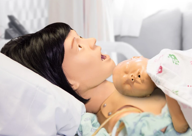 Simulador de parto materno y neonatal Lucy - Completo