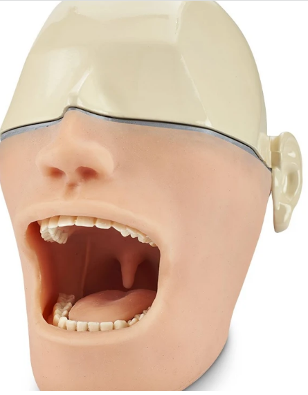 Maniquí de anestesia oral sin cráneo de metal y sensores de luz o sonido