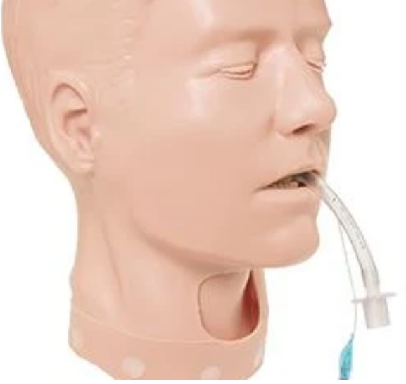 Cabezal de gestión de vías respiratorias de lujo para adultos PDA STAT
