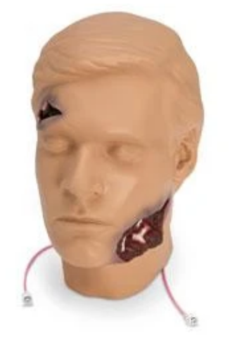 Trauma Randy Head Flash Moulage | RESCUE