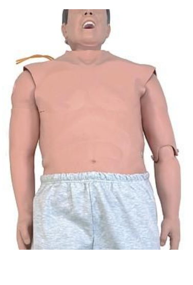 Maniquí de estadísticas de Wmd