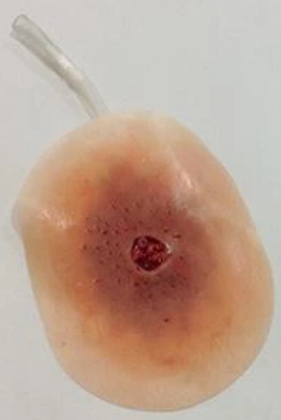 Entrada cerrada del calibre .45 Xtreme