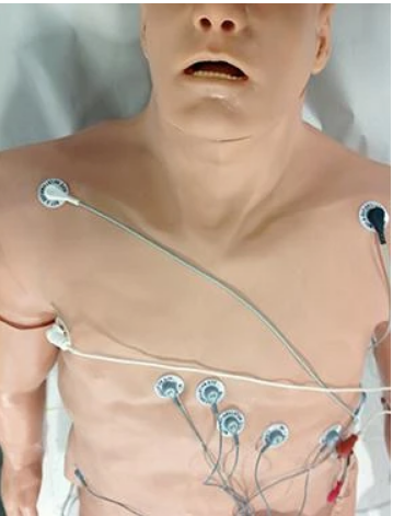 Simulador de arritmia de 12 derivaciones Zoll con revestimiento de maniquí grande