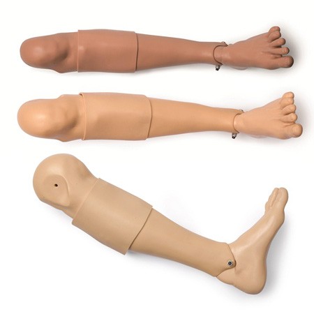 Piernas IO de adulto