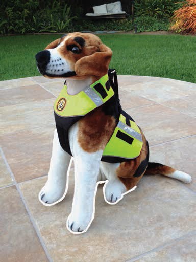 Chaleco para perro Firstwatch PFD