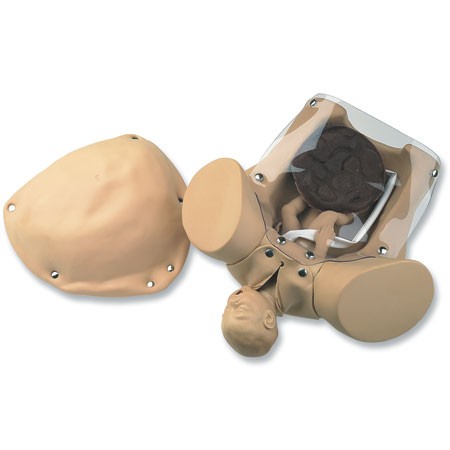 Abrazaderas de Cordón Umbilical, Para Usar con Maniquí Obstétrico