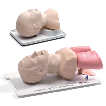 Entrenadores de gestión de vía respiratoria