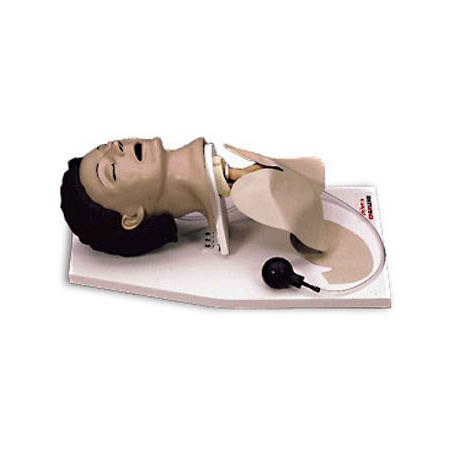 Maniquí entrenador de gestión de las vías respiratorias con soporte