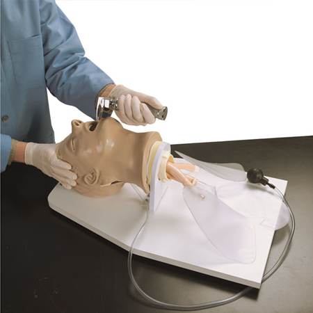 Cabeza entrenadora Airway Larry con con soporte de montaje, lubricante de pulverización de la bomba, estuche rígido, adulto Cabeza entrenadora Airway Larry con con soporte de montaje, lubricante de pulverización de la bomba, estuche rígido, adulto